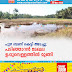 പുഴ ബണ്ട് കെട്ടി അടച്ചു; പടിഞ്ഞാറൻ മേഖല ഉപ്പുവെള്ളത്തിൽ മുങ്ങി