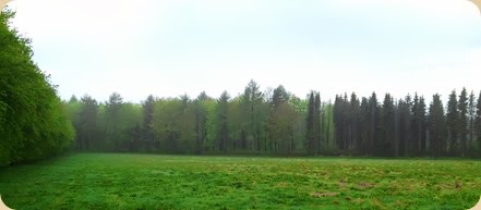2013-05-16T10-28-01_2