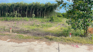 Bán 3 Lô Đất Vườn Đường Oto Rộng 6m, Xã Khánh Bình Khánh Vĩnh.Giá Chỉ 500k/m2