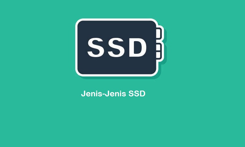 Jenis - Jenis SSD (Solid State Drive)