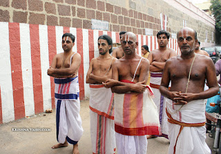 Sri Aandal,Aadipooram,Purappadu,Video, Divya Prabhandam,Sri Parthasarathy Perumal, Triplicane,Thiruvallikeni,Utsavam,