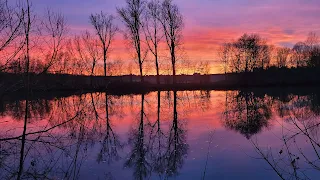 Sonnenuntergang am Neckar