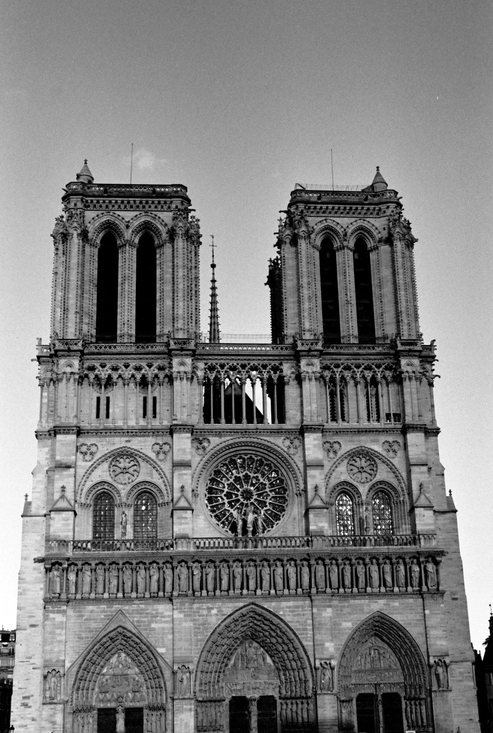 notre dame