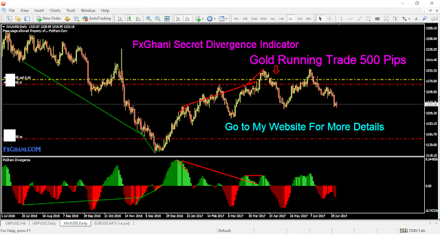 FxGhani Unique Divergence Indicator.