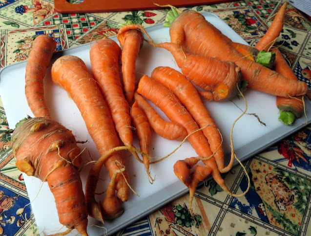 Honey Mustard Roasted Parsnips & Carrots