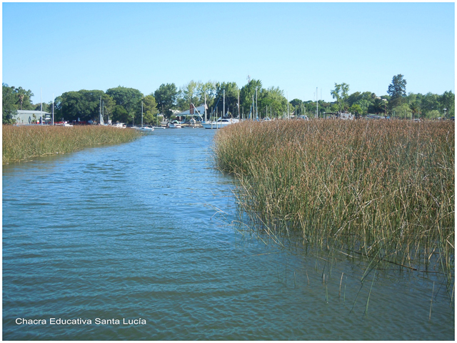 Humedales del Río Santa Lucía - Chacra Educativa Santa Lucía