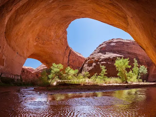 7 National Parks that are Spectacular in Winter