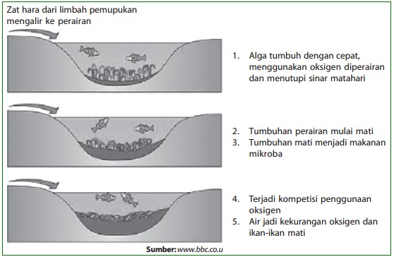 Pengertian dan Contoh  Limbah  Limbah  Rumah Tangga 