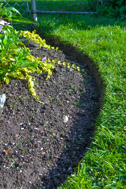 How to edge flowerbeds like a pro! via Funky Junk InteriorsFunky ...