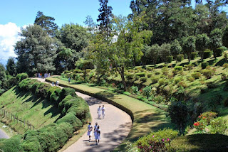 Hakgala Botanical Garden