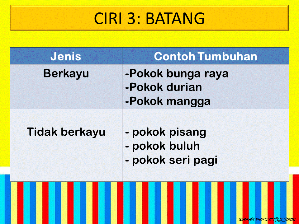 Dunia Sains dan Teknologi (Belajar dengan Ceria): DST 