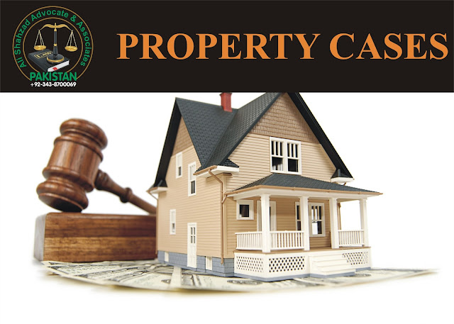 Property cases lawyer