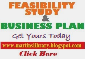 Compare feasibility study with business plan