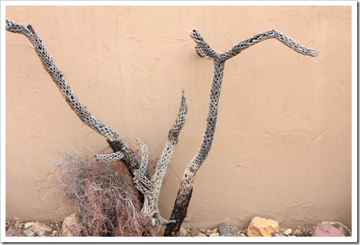 120728_ArizonaSonoraDesertMuseum_013