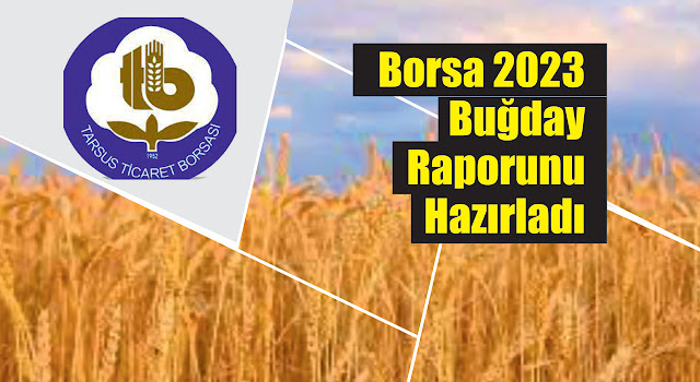 Borsa 2023 Buğday Raporunu Hazırladı
