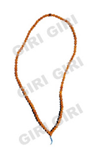  Rudraksha Mala