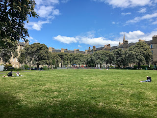 A grassy field with trees lining it.