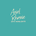 Ariel Reverie 2016 Highlights - Happy New Year!
