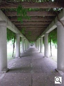 Pentax RS1500 Sample Image