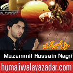 http://www.humaliwalayazadar.com/2017/09/muzammil-hussain-nagri-nohay-2018.html