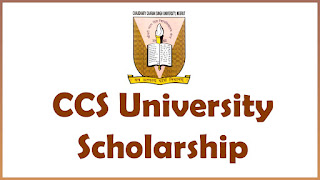 CCS University Scholarship