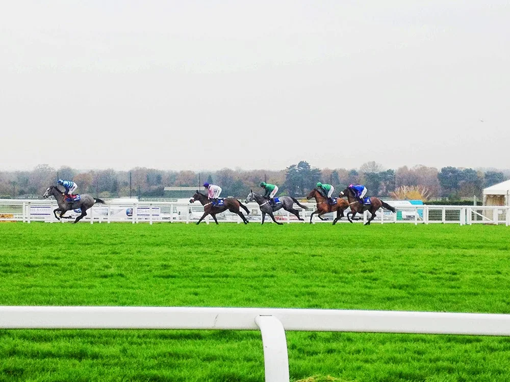 A day at the races in winter, at Sandown Racecourse