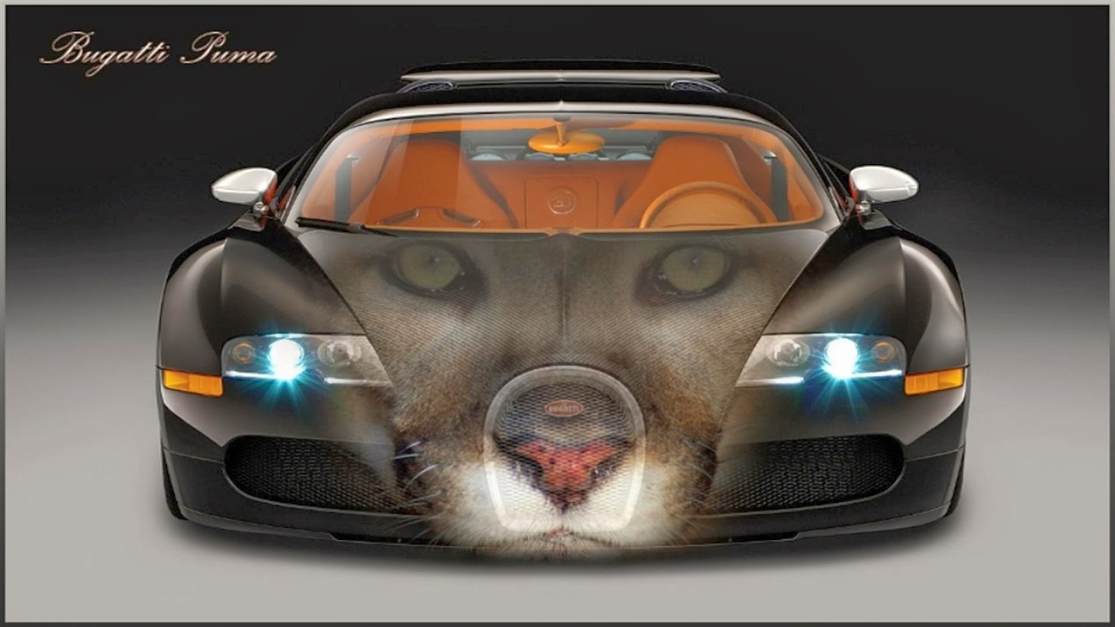 Wallpaper Atau DP BBM Bugatti HD 1080p Khusus Android 2015
