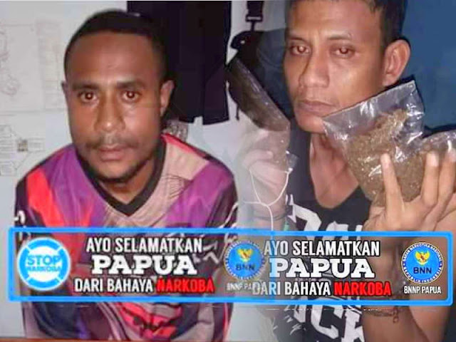 BNN Papua Tangkap Pengedar Ganja di Arso dan Koya