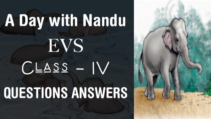 A Day with Nandu Class 4 EVS chapter 3 Questions Answers