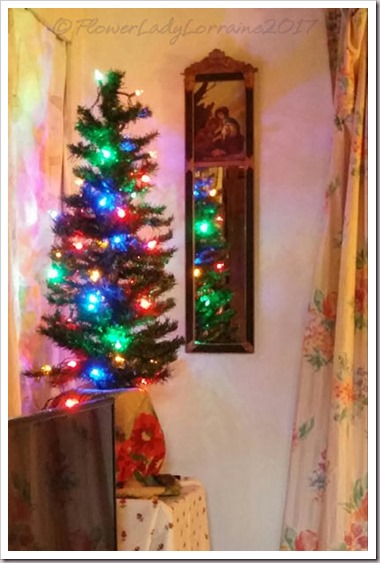 11-23-tree2