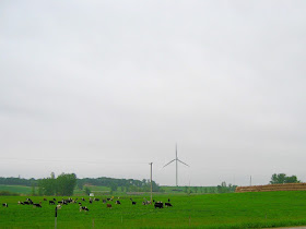 OneMinnesota needs dairy farms and wind farms