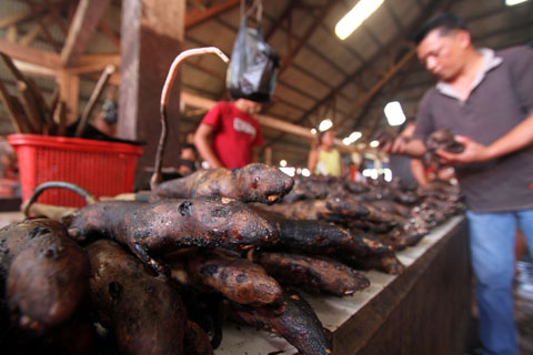 Kumpulan Kuliner makanan extrim dari seluruh dunia FOTO