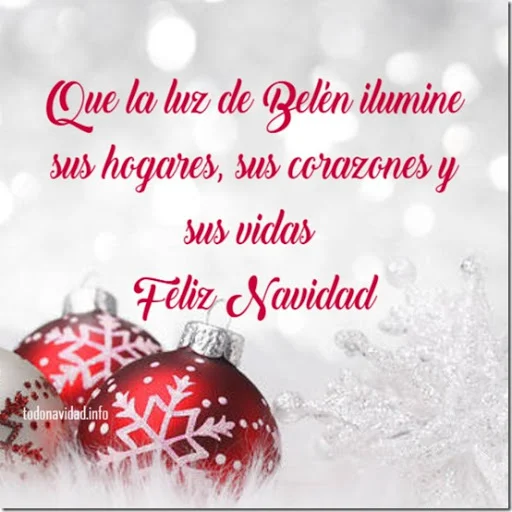 navidad 14