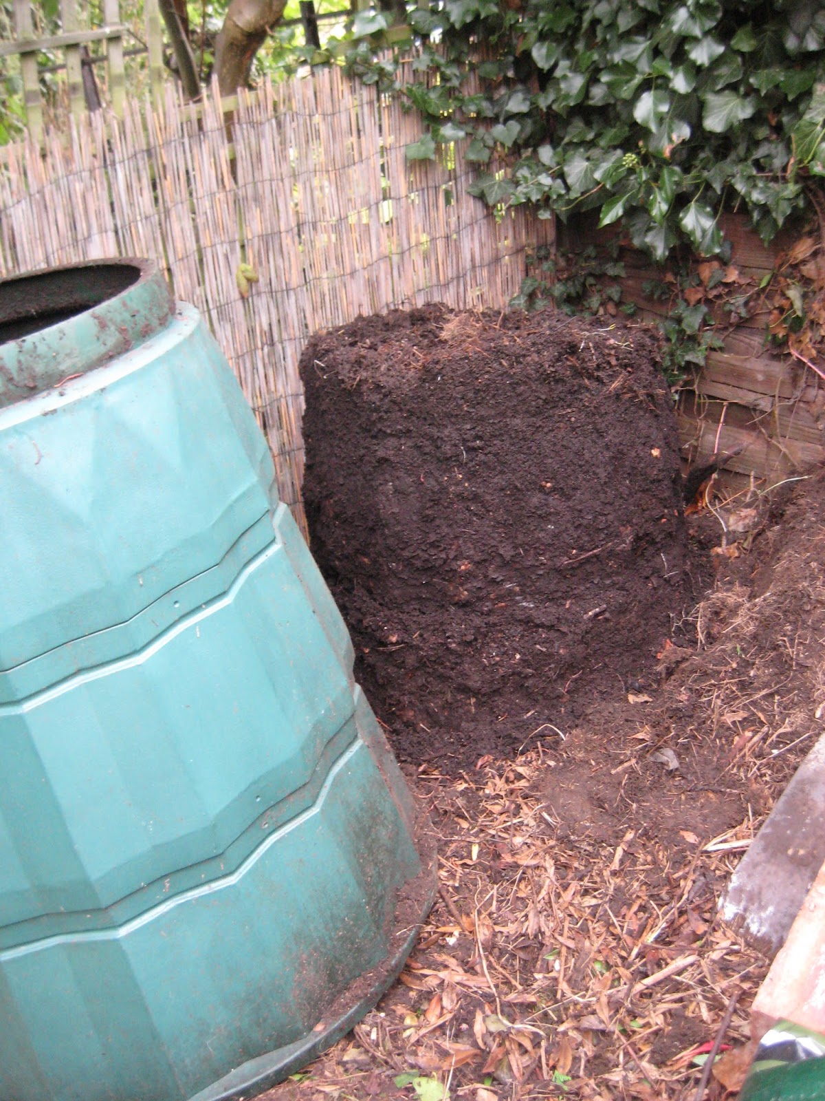 Mal's Edinburgh Allotment: Compost Time - Invasion Earth