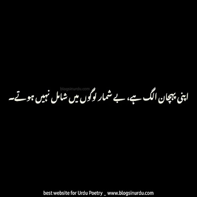 Best 60 One Line Urdu Poetry, Quotes, Captions