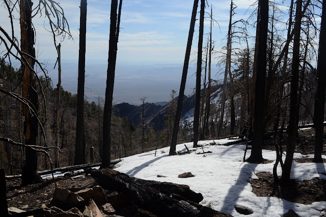 burned ridge from burned forest