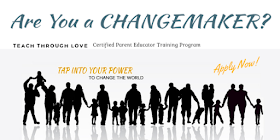 https://courses.teach-through-love.com/courses/parent-educator-training-program
