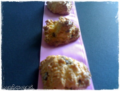 Biscottini al cocco 1