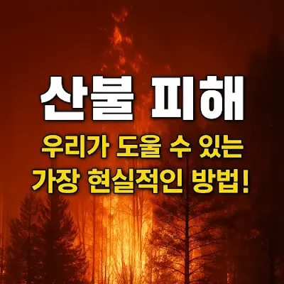 고향사랑기부제와 재난 지원의 연결고리
