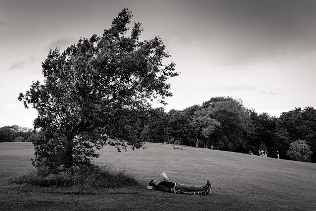 Reading in the park under a tree.