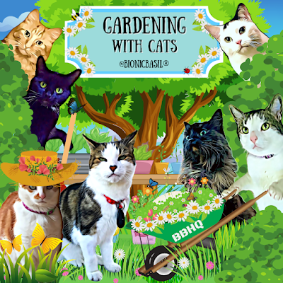 Gardening With Cats ©BionicBasil® 2021