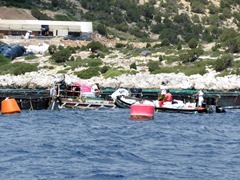 IMG_8204