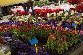 Eastern Market © Cornelia Schaible