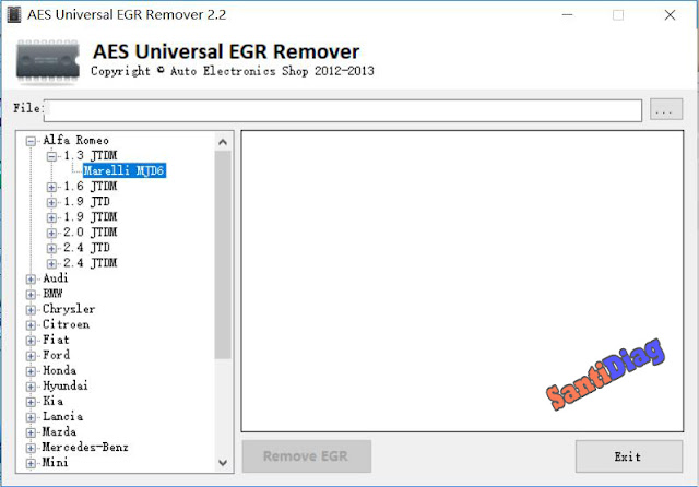 AES Universal EGR removel
