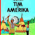 Ergebnis abrufen Tim und Struppi 2: Tim in Amerika. Kindercomic ab 8 Jahren. Ideal für Leseanfänger: Comic-Klassiker PDF