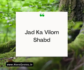 Jad Ka Vilom Shabd