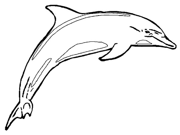 Brave Creature Powers Wild Kratts Coloring Pages For Rustic Article