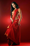 karthika nair spicy hot photo shoot stills