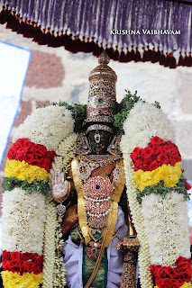 Kodai UTsavam,Thiruvallikeni, Sri PArthasarathy Perumal, Temple, 2017, Video, Divya Prabhandam,Utsavam,