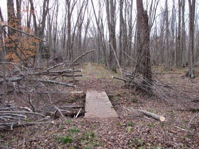 cleared trail